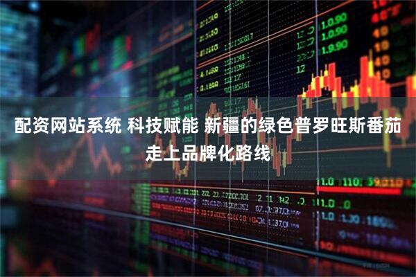 配资网站系统 科技赋能 新疆的绿色普罗旺斯番茄走上品牌化路线