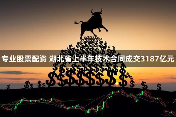 专业股票配资 湖北省上半年技术合同成交3187亿元