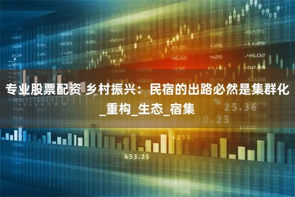 专业股票配资 乡村振兴：民宿的出路必然是集群化_重构_生态_宿集